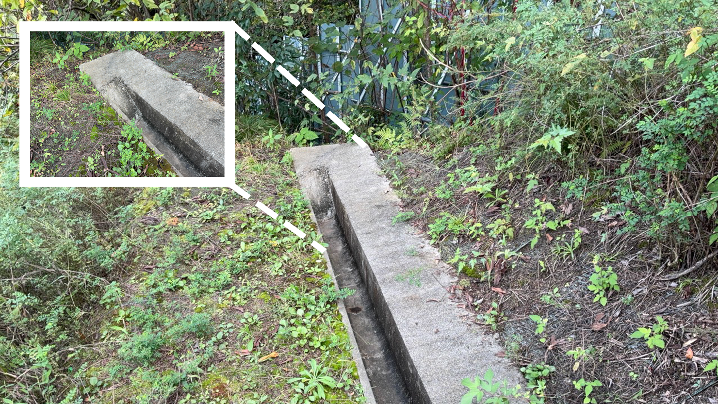 生物多様性に貢献するスロープ付きの側溝