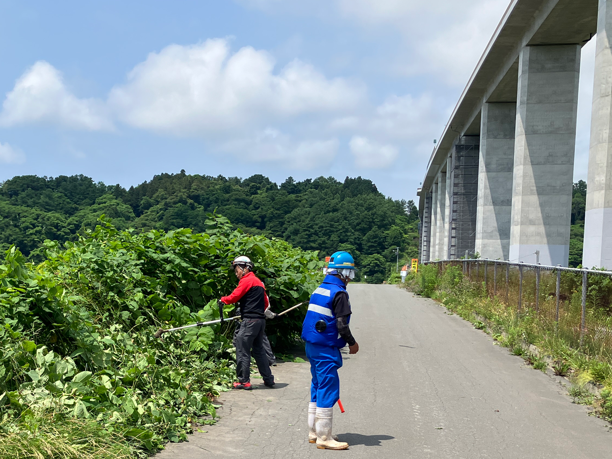 草刈りで運転視界を確保
