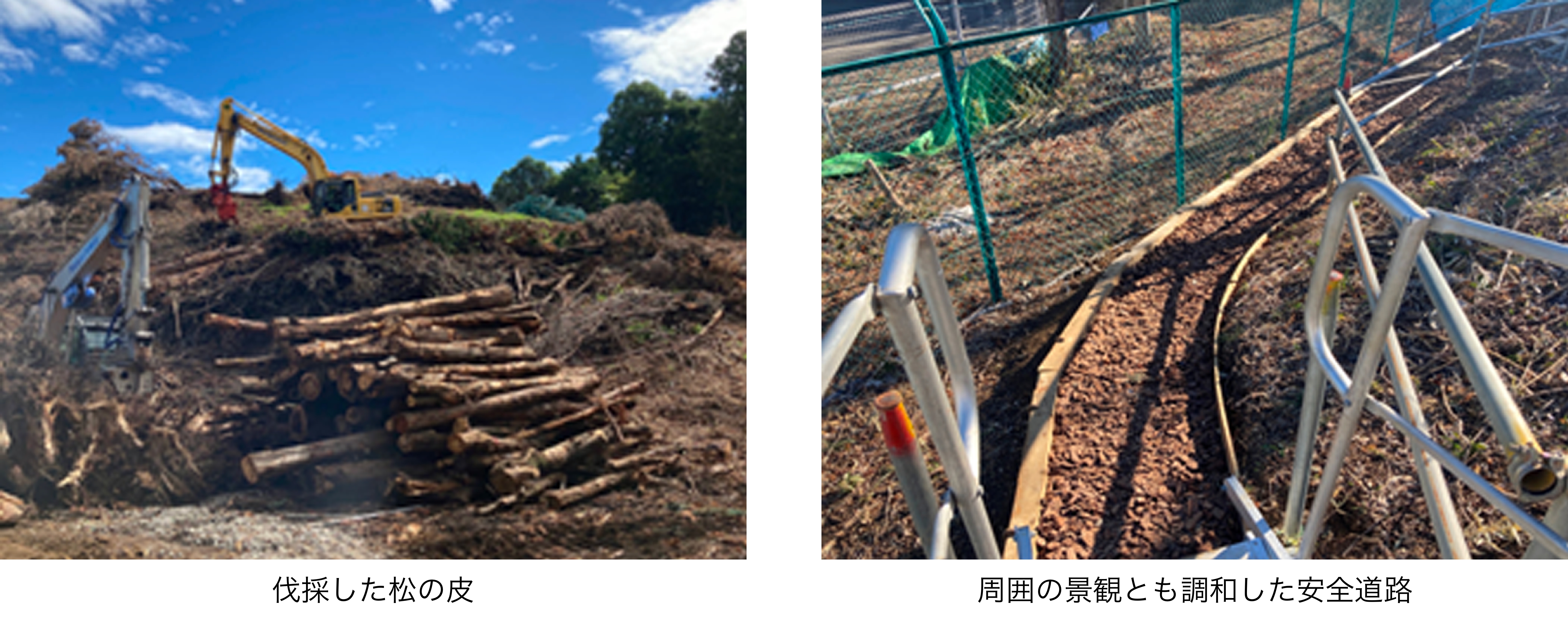 伐採材の松皮を利用した安全通路の整備