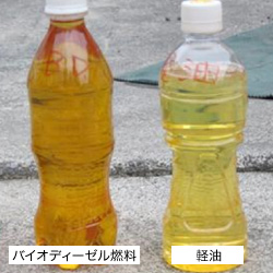 バイオディーゼル燃料と軽油