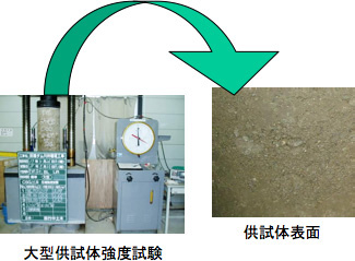 大型供試体強度試験