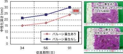 中性化抑制効果（※）