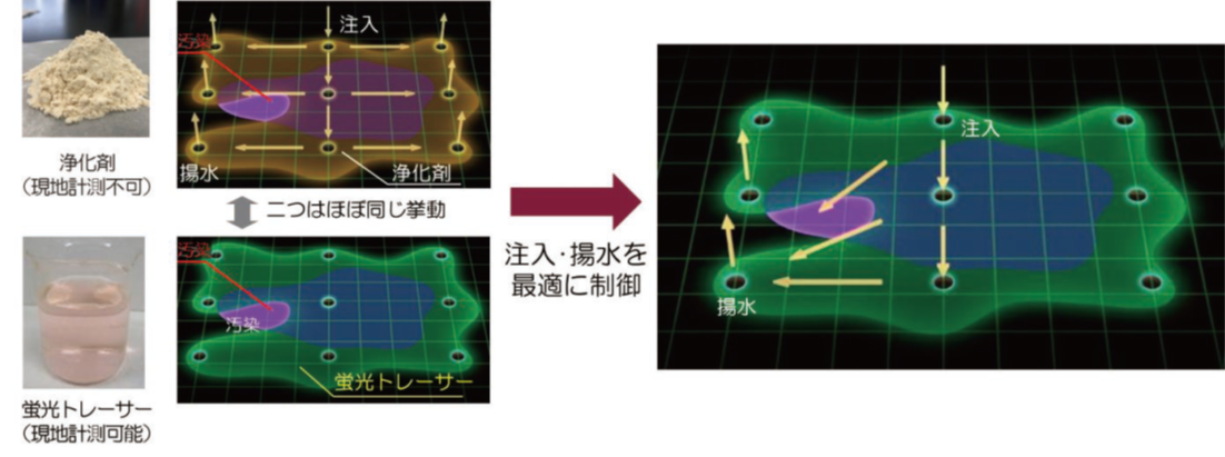 浄化のメカニズム