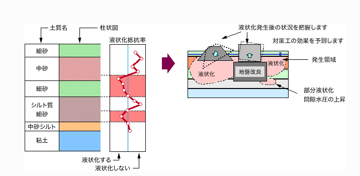 特徴